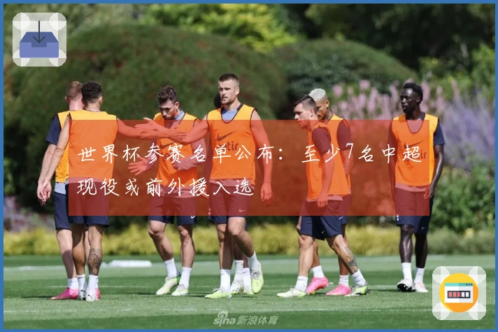 世界杯参赛名单公布:至少7名中超现役或前外援入选